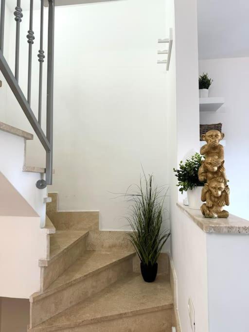 Casa Vacanza Elislor Apartments Fiumicino Buitenkant foto